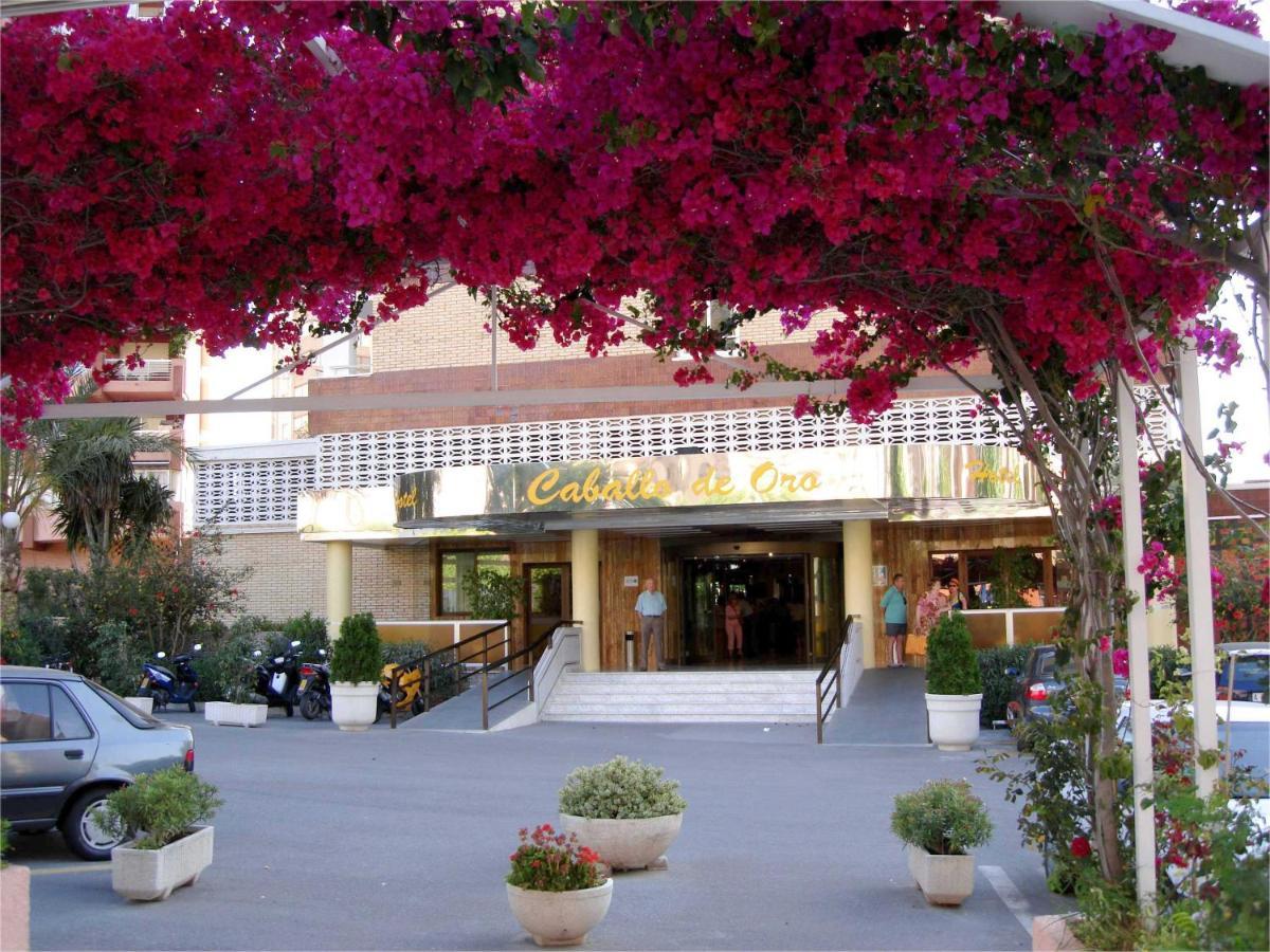 Hotel Caballo De Oro เบนิดอร์ม ภายนอก รูปภาพ